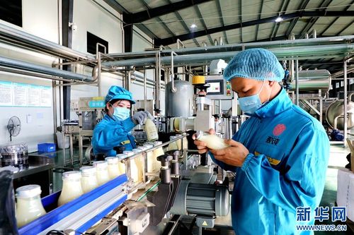 江西廣昌 工廠生產(chǎn)忙 奮戰(zhàn) 開門紅