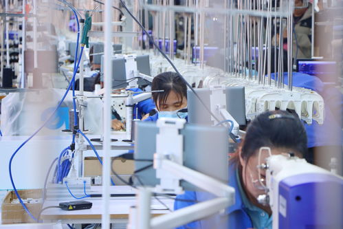 衡水新聞網(wǎng)