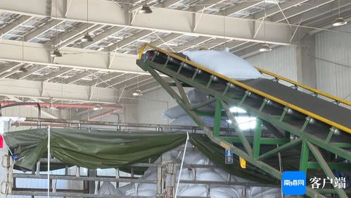 東方這個項目已具備生產(chǎn)功能 預計每年可處理30萬噸有機廢棄物