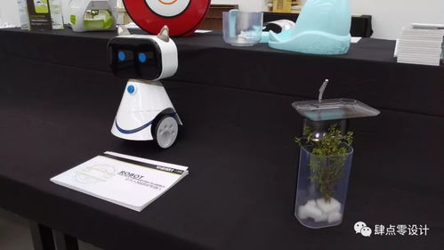 畢業(yè)季 廈門大學嘉庚學院2018產(chǎn)品設計專業(yè)本科畢業(yè)展