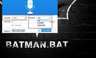 電腦有什么專(zhuān)業(yè)的錄音軟件